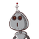 guest