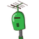 guest