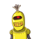 guest