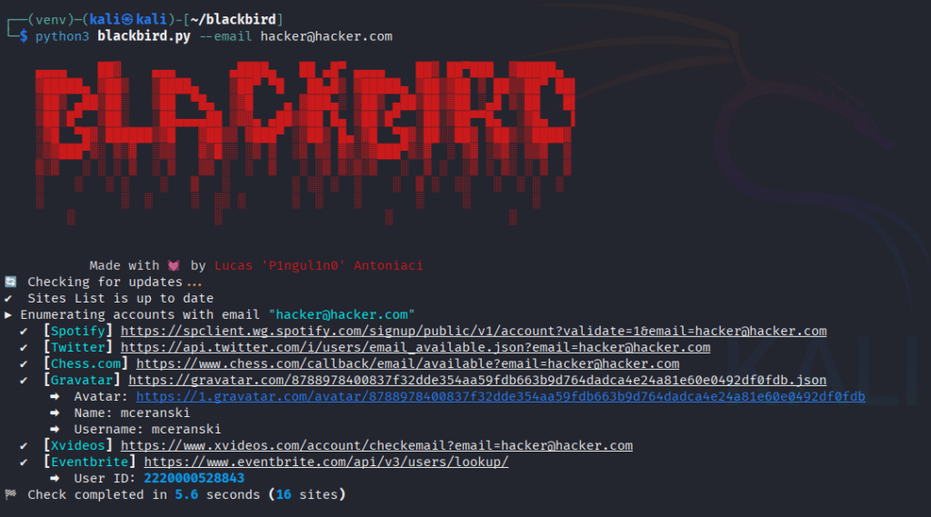 blackbird-email