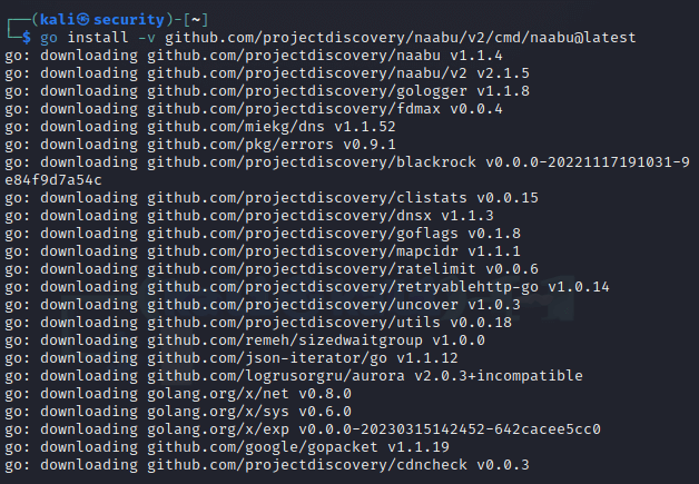 install-naabu-tool