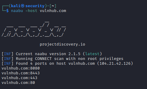 test-naabu-vulnhub