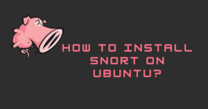 install-snort-ubuntu