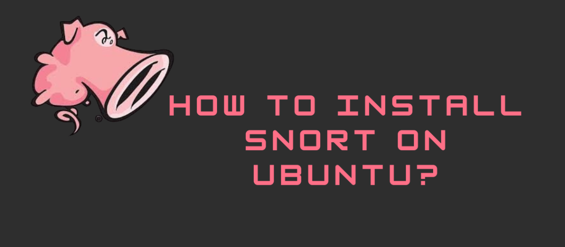 install-snort-ubuntu